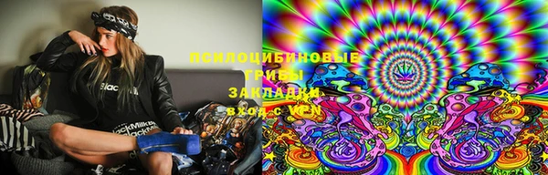 ГАЛЛЮЦИНОГЕННЫЕ ГРИБЫ Лихославль