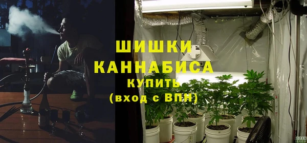 ГАЛЛЮЦИНОГЕННЫЕ ГРИБЫ Лихославль