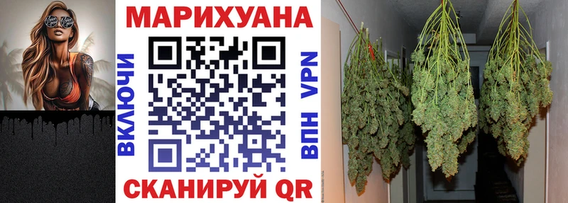 где купить наркоту  Емва  Бошки марихуана OG Kush 